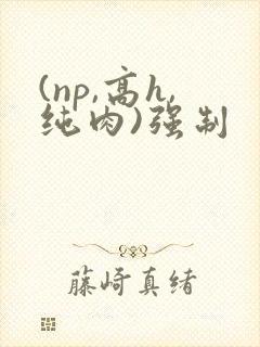 (np,高h,纯肉)强制