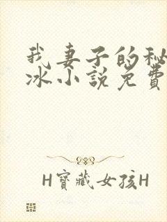 我妻子的秘密王冰小说免费阅读