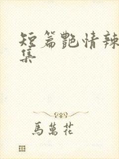 短篇艳情辣文合集封面