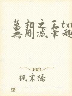 万相之王txt无删减笔趣阁