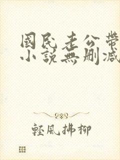 国民老公带回家小说无删减