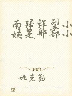南归炸裂小说蓉姨是哪部小说封面