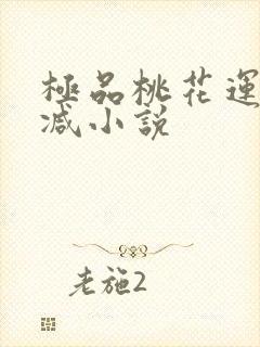 极品桃花运未删减小说