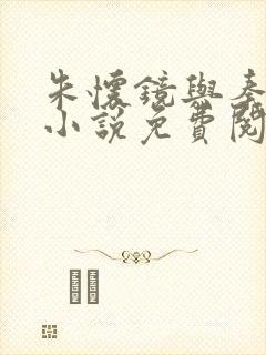 朱怀镜与秦可卿小说免费阅读