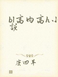 bl高肉高h小说