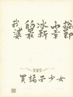 我的冰山总裁老婆最新章节阅读