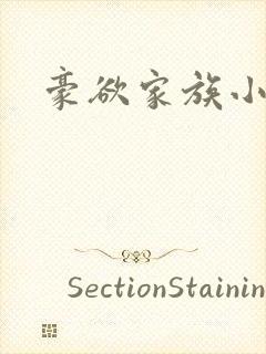 豪欲家族小说