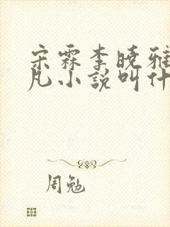 宋霖李晓雅陈一凡小说叫什么