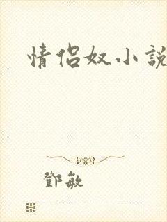 情侣奴小说