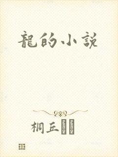龙的小说