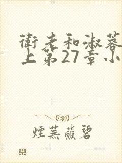 卫老和淑蓉在船上第27章小说