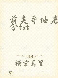 前夫哥他老实本分txt
