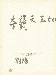 火爆天王txt下载