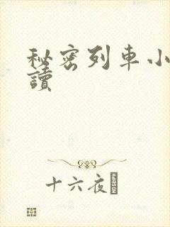 秘密列车小说阅读