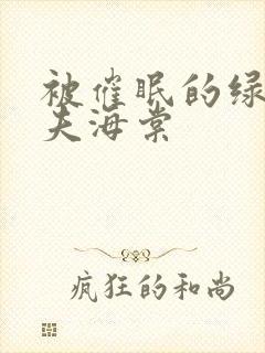 被催眠的绿帽夫夫海棠封面