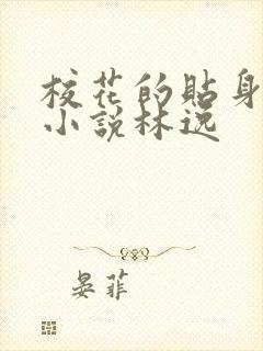 校花的贴身高手小说林逸