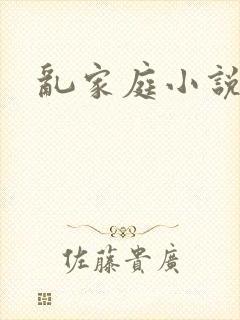 乱家庭小说