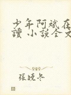 少年阿斌在线阅读 小说全文免费