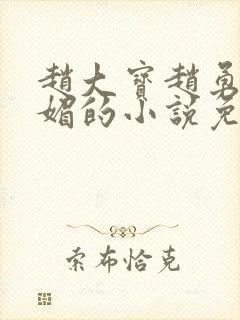 赵大宝赵勇和苏媚的小说免费阅读全文