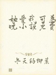 她爱我可为时已晚小说免费阅读