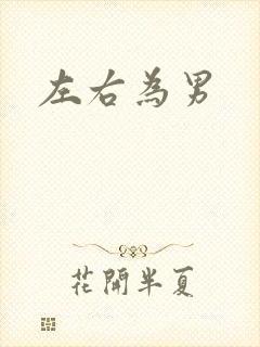 左右为男封面