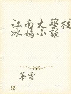 江南大学校花陆冰嫣小说封面