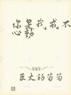 你是我戒不掉的心动