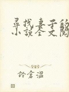 寻找妻子的秘密小说全文阅读