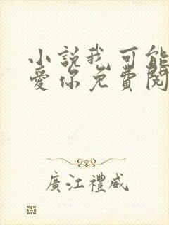 小说我可能不会爱你免费阅读