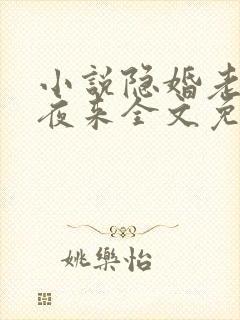 小说隐婚老公深夜来全文免费阅读