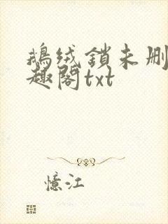 鹅绒锁未删除笔趣阁txt封面