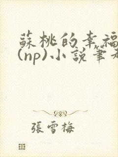 苏桃的幸福生活(np)小说笔趣阁沐沐