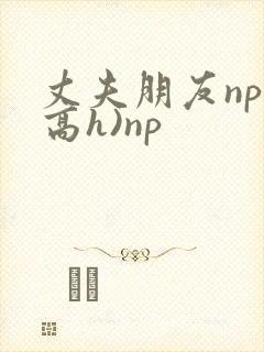 丈夫朋友np(高h)np