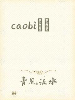 caobiС˵封面