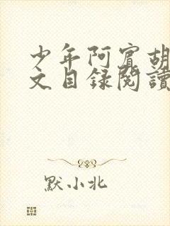 少年阿宾胡太全文目录阅读在线