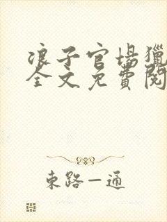 浪子官场猎艳记全文免费阅读