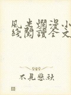 风光烂漫小说在线阅读全文无弹窗