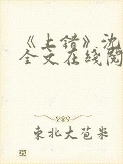《上错》沈南初全文在线阅读笔趣阁