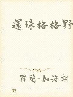 还珠格格野传