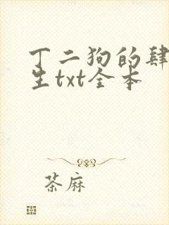 丁二狗的肆意人生txt全本