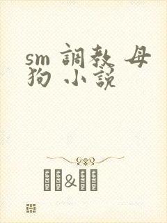sm 调教 母狗 小说
