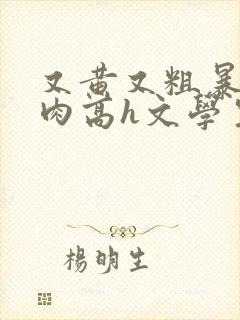 又黄又粗暴的纯肉高h文学生男男