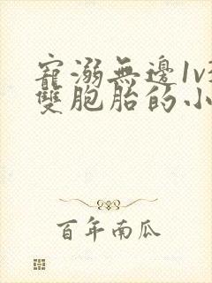 宠溺无边1v3双胞胎的小说