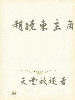 赵晓东主角小说