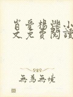 肖爱杨烁小说全文免费阅读最新章节