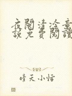 夜阑清冷意欢小说免费阅读封面