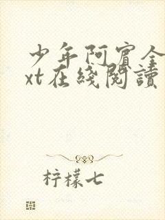 少年阿宾全集txt在线阅读