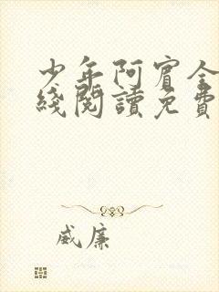 少年阿宾全文在线阅读免费下载封面