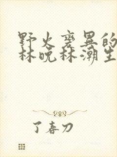 野火变异的父爱林晚林潮生封面