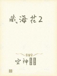 藏海花2